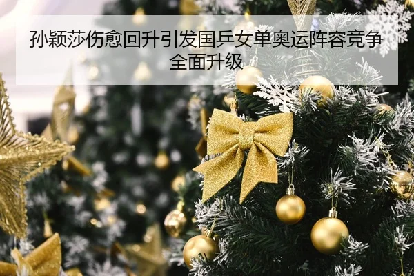 孙颖莎伤愈回升引发国乒女单奥运阵容竞争全面升级
