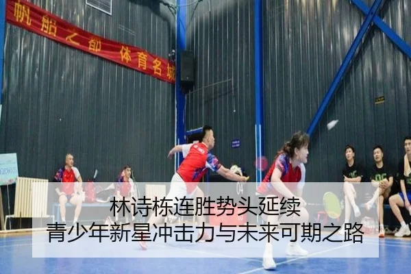 林诗栋连胜势头延续 青少年新星冲击力与未来可期之路